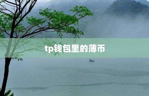 tp钱包里的薄币