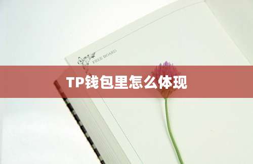 TP钱包里怎么体现