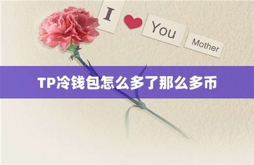 TP冷钱包怎么多了那么多币