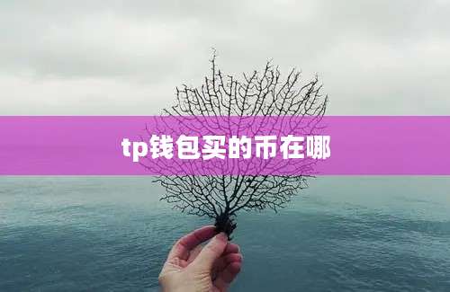tp钱包买的币在哪