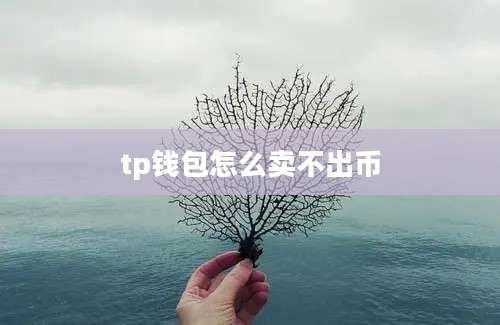 tp钱包怎么卖不出币