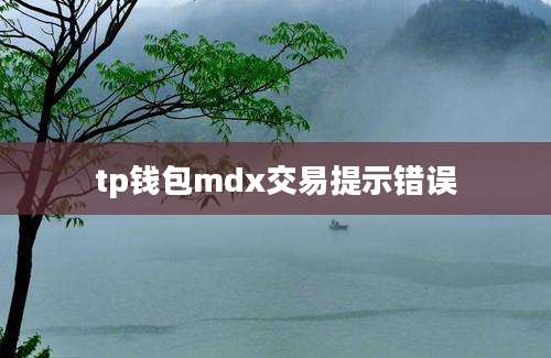 tp钱包mdx交易提示错误