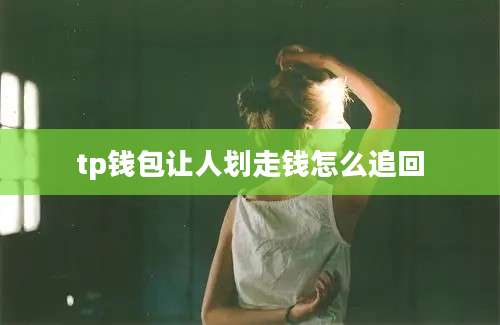 tp钱包让人划走钱怎么追回