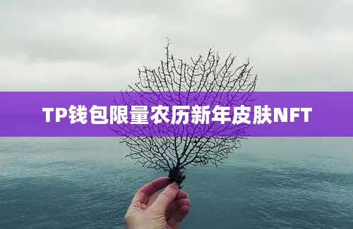 TP钱包限量农历新年皮肤NFT