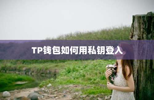 TP钱包如何用私钥登入