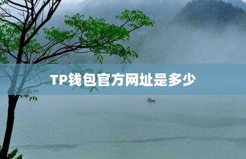 TP钱包官方网址是多少