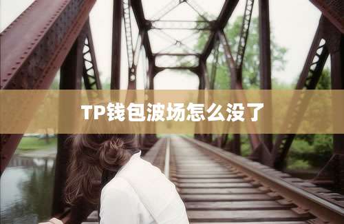 TP钱包波场怎么没了
