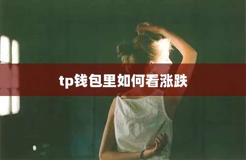 tp钱包里如何看涨跌