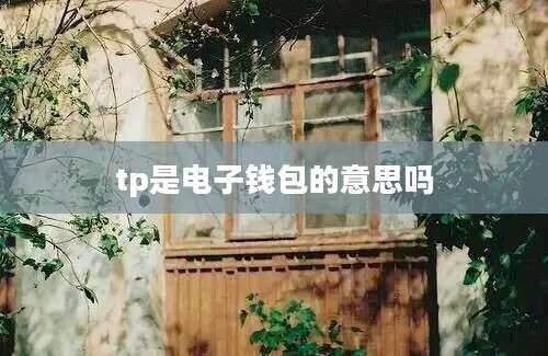 tp是电子钱包的意思吗
