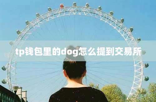 tp钱包里的dog怎么提到交易所