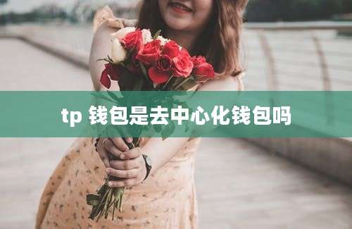 tp 钱包是去中心化钱包吗