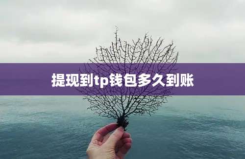 提现到tp钱包多久到账