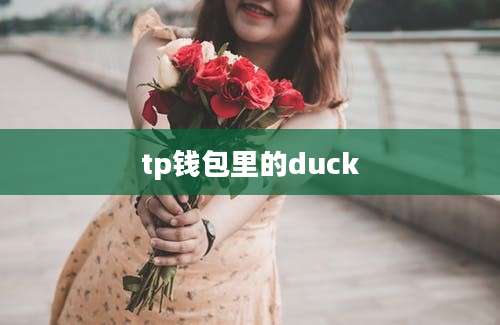 tp钱包里的duck