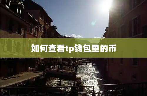 如何查看tp钱包里的币