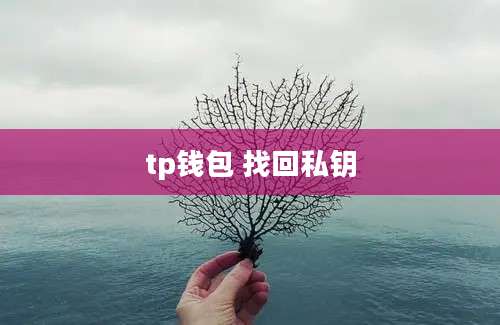 tp钱包 找回私钥