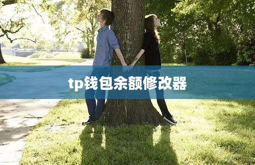 tp钱包余额修改器