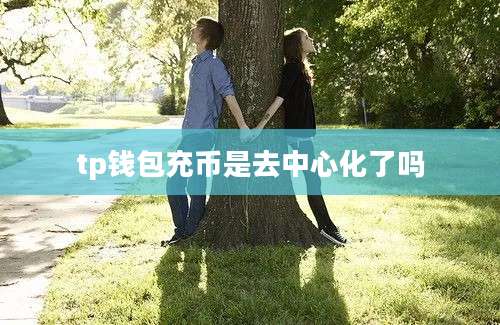 tp钱包充币是去中心化了吗