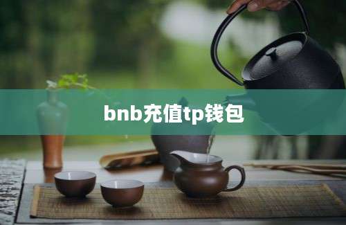 bnb充值tp钱包