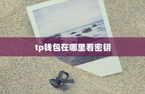 tp钱包在哪里看密钥