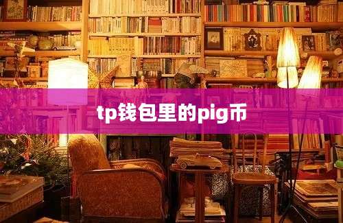 tp钱包里的pig币