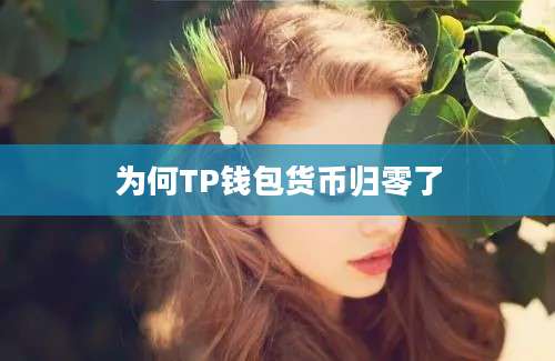 为何TP钱包货币归零了
