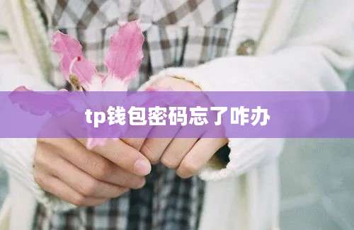 tp钱包密码忘了咋办