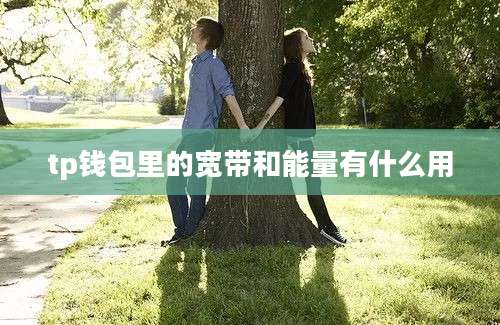 tp钱包里的宽带和能量有什么用