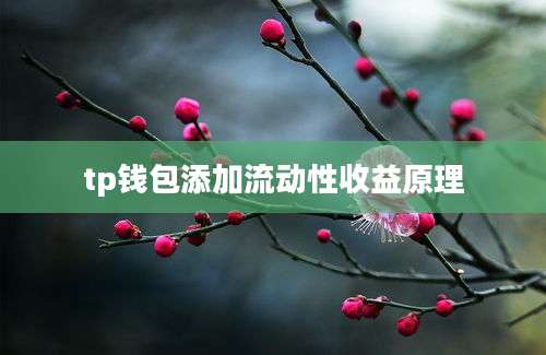 tp钱包添加流动性收益原理