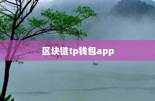 区块链tp钱包app