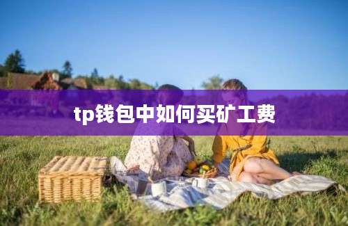 tp钱包中如何买矿工费