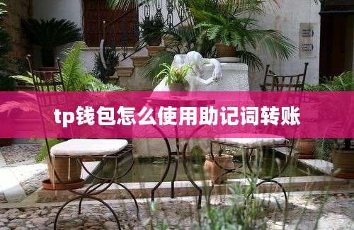 tp钱包怎么使用助记词转账