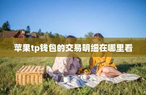 苹果tp钱包的交易明细在哪里看