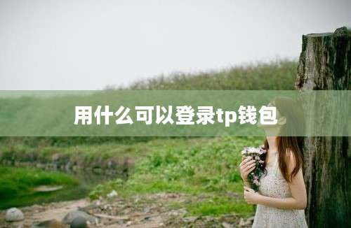 用什么可以登录tp钱包