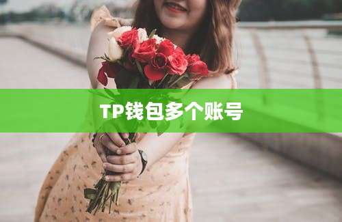 TP钱包多个账号