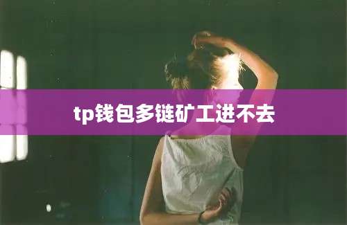 tp钱包多链矿工进不去