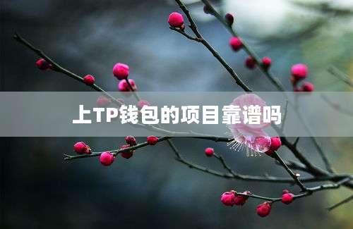 上TP钱包的项目靠谱吗