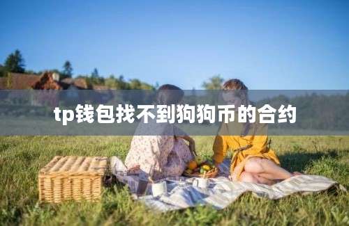 tp钱包找不到狗狗币的合约