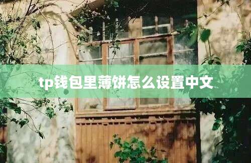 tp钱包里薄饼怎么设置中文