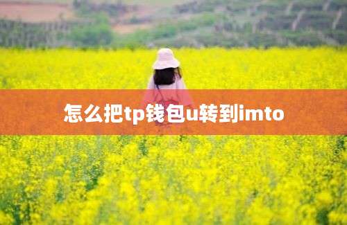 怎么把tp钱包u转到imto