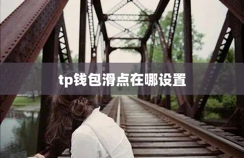 tp钱包滑点在哪设置