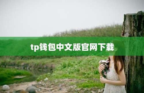 tp钱包中文版官网下载