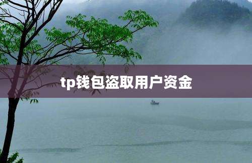 tp钱包盗取用户资金