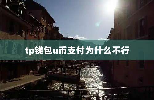 tp钱包u币支付为什么不行