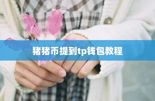 猪猪币提到tp钱包教程