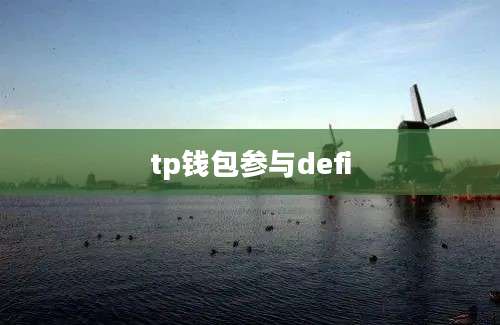 tp钱包参与defi