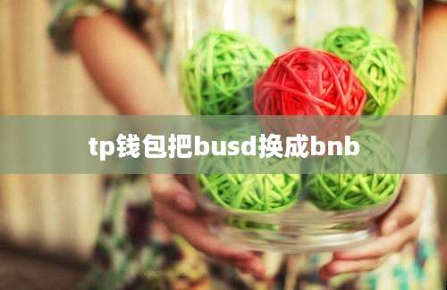 tp钱包把busd换成bnb