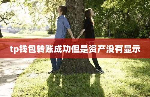 tp钱包转账成功但是资产没有显示