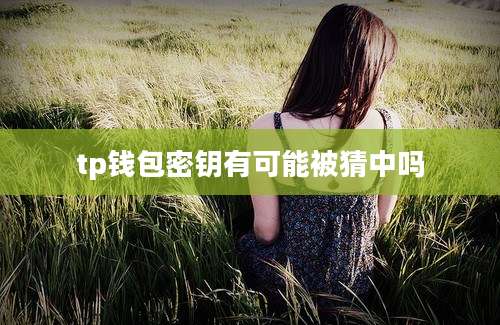 tp钱包密钥有可能被猜中吗