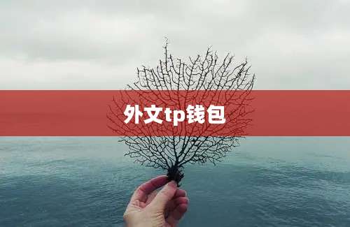 外文tp钱包