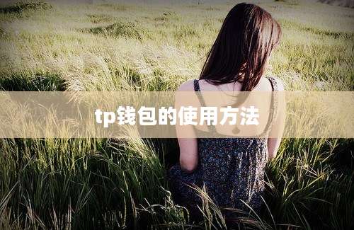 tp钱包的使用方法